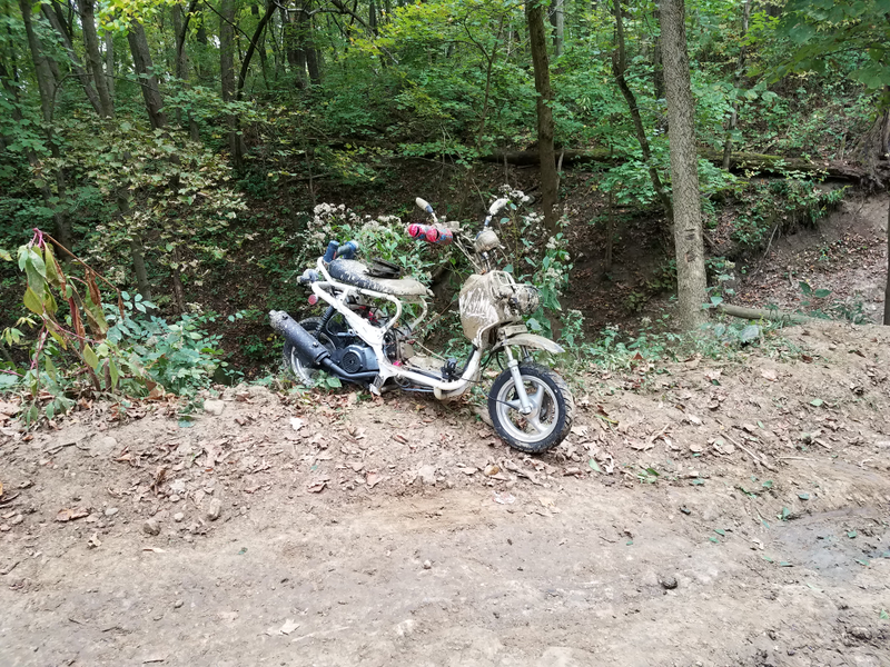 Illustration for article titled Finally took a smart for some legit offroading.